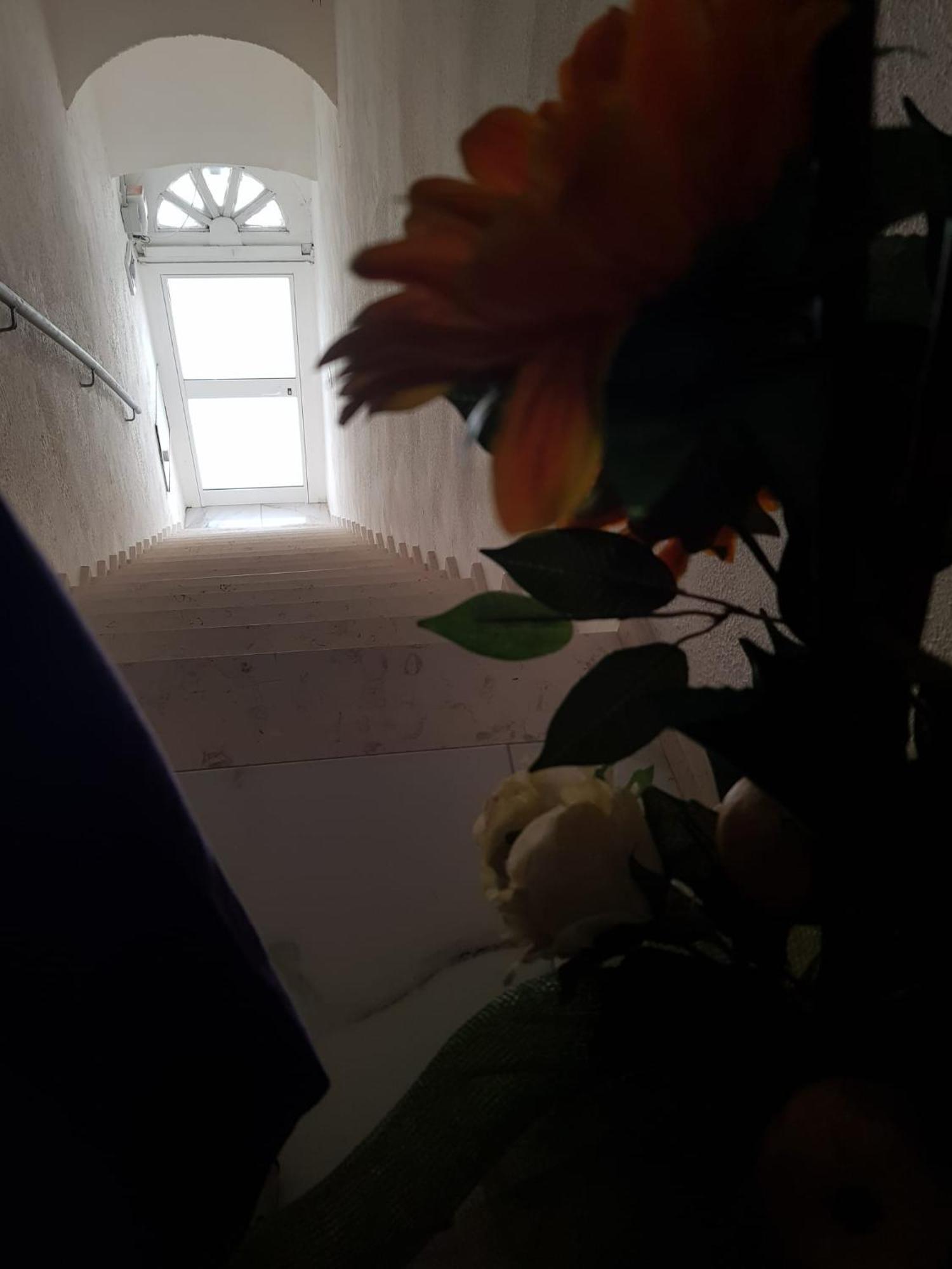 טריג'אנו Di Fronzo Guest House T מראה חיצוני תמונה